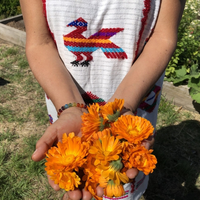 Community Herb Garden