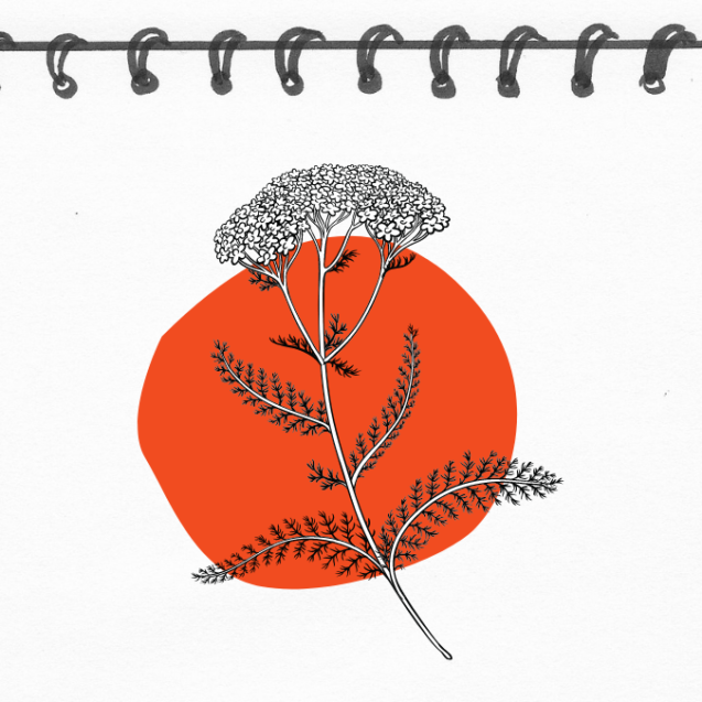 fever_notebook_website