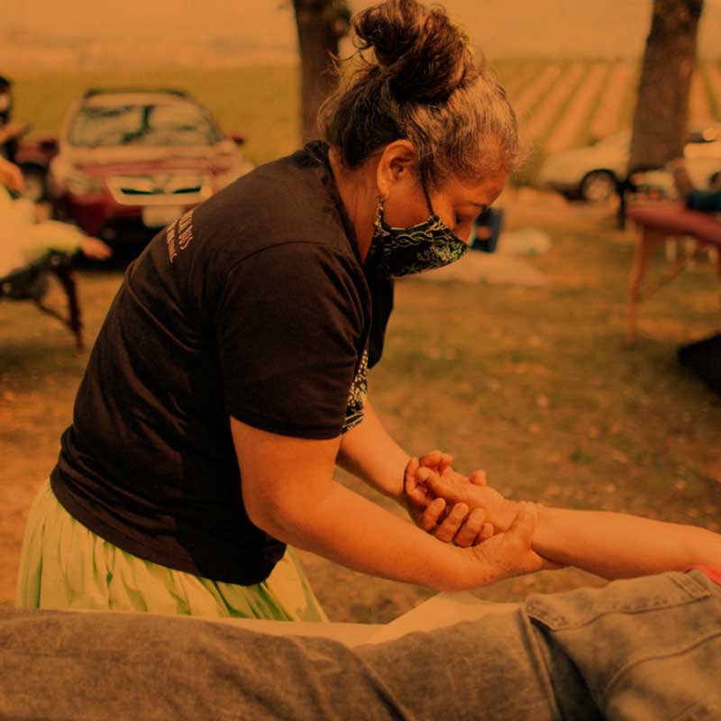 square_800x800_mobile_herb_4