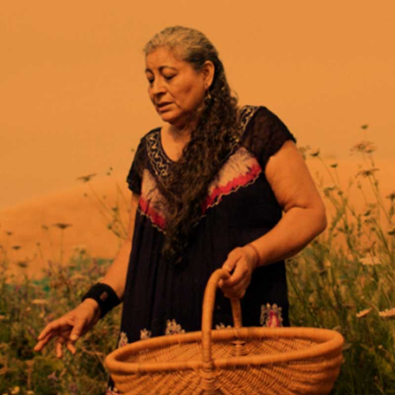 square_800x800_promotoras