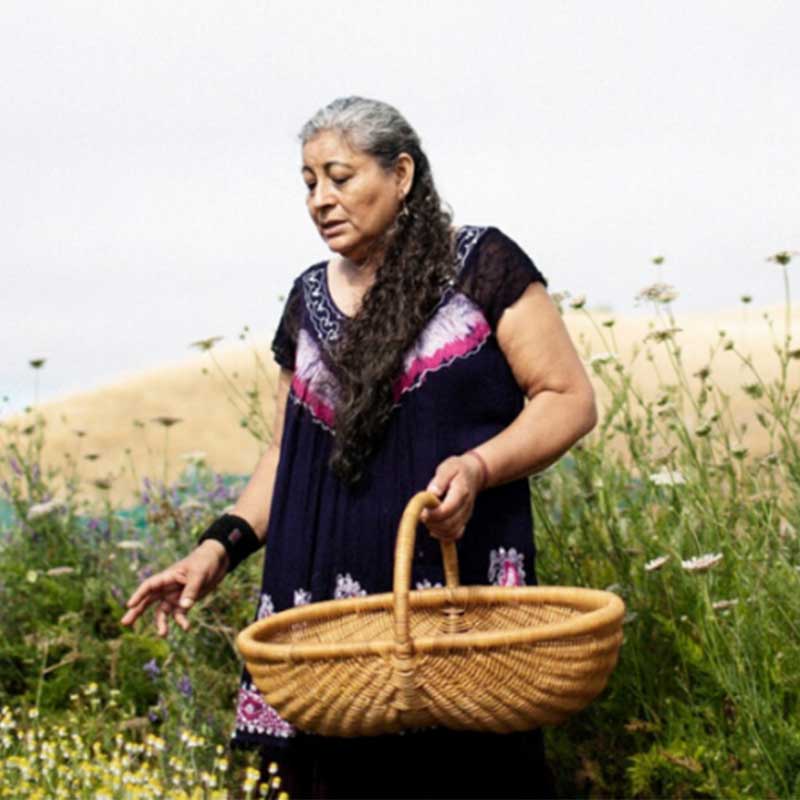 square_800x800_promotoras_4