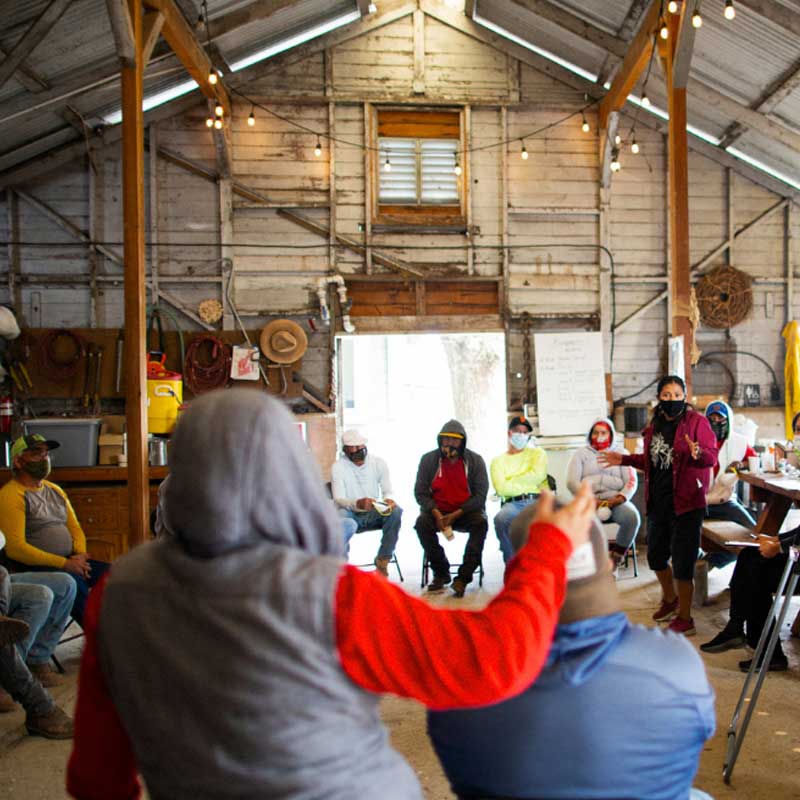 square_800x800_wellness