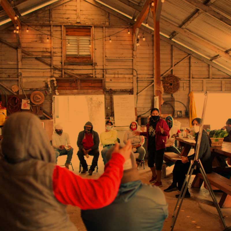 square_800x800_wellness_1