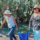 Juliana Jimenez and Norma Rico(Community Health Workers and Founders of Botanical Bus Present to Nourish Us program) harvest Nopales.