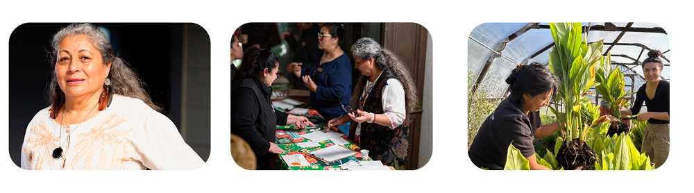 PROMOTORAS3