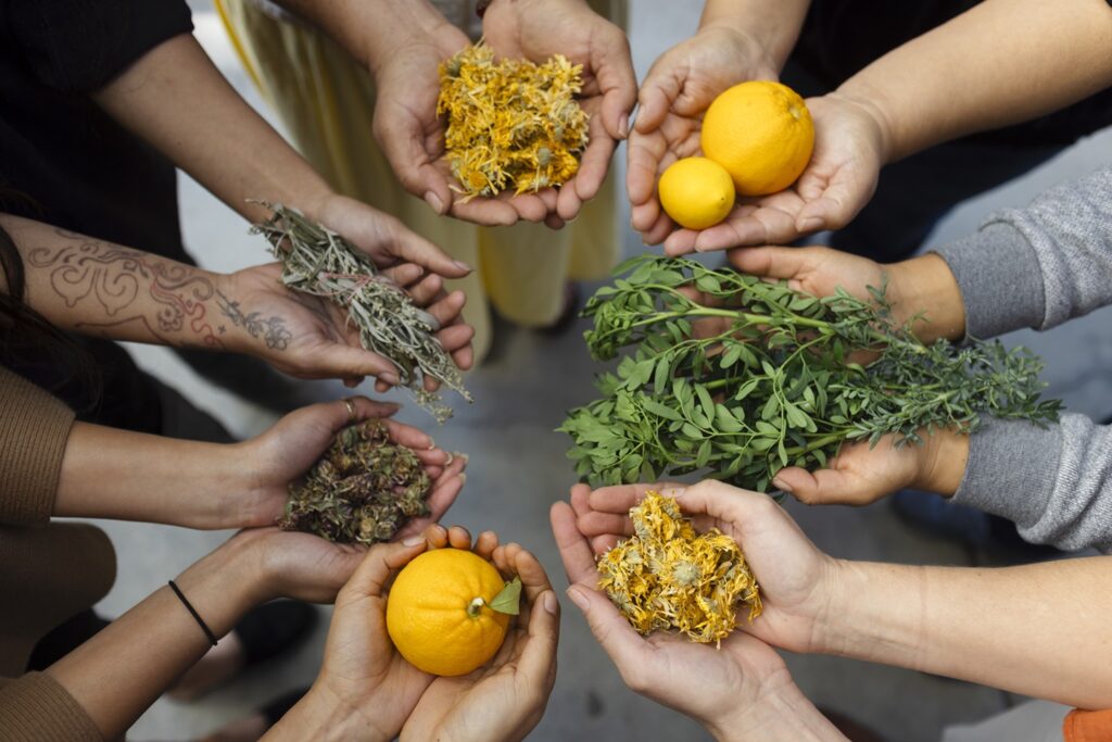 tbb-herbs